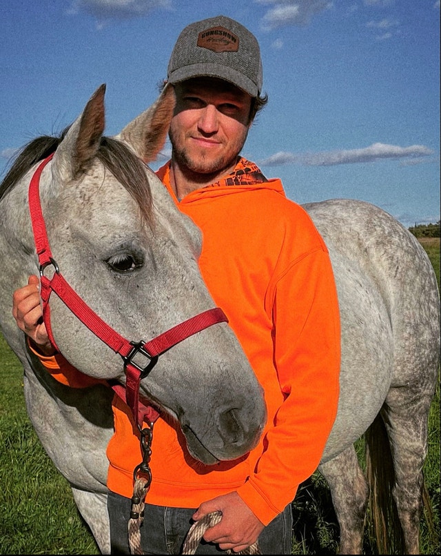 Quarter Horse Gelding Horses & Ponies for Rehoming Sudbury Kijiji