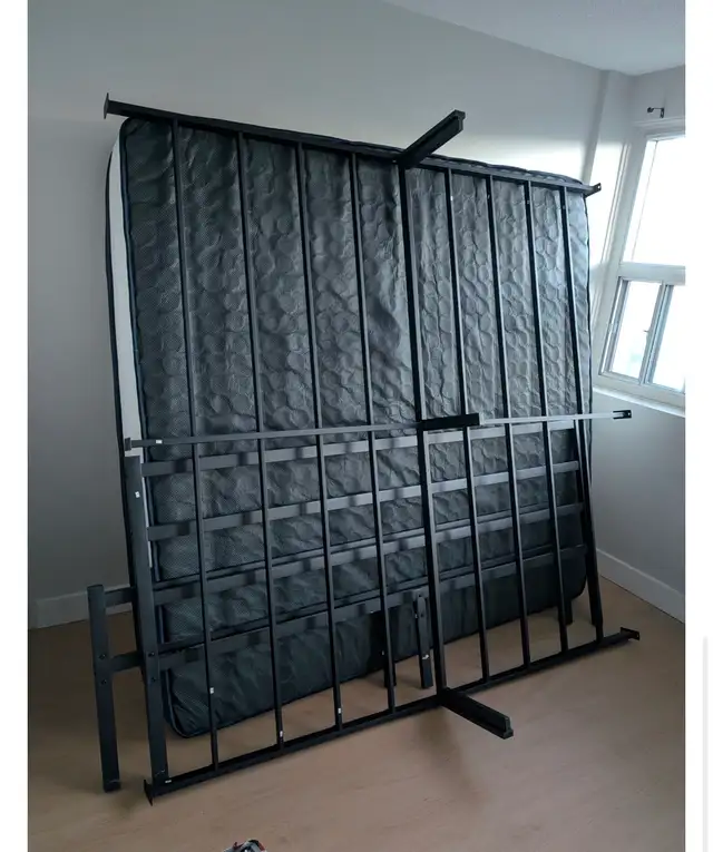 Ottawa strong and professional movers559731879561154564