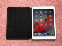 Excellent White 16GB iPad Air - WiFi + Cellular Model