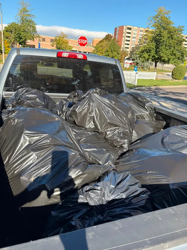 Martel’s garbage removal600046541986877441
