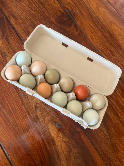 Farm fresh eggs, View more