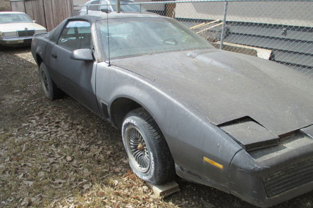 1984 Trans Am, 305 V8, auto in Classic Cars in Regina - Image 2