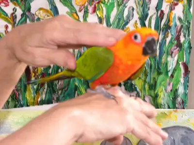 JE  PRENDRAI  SOUS  MON  AILES   VOS   OISEAUX, View more