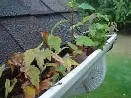 Eaves trough Cleaning & Repairs, View more