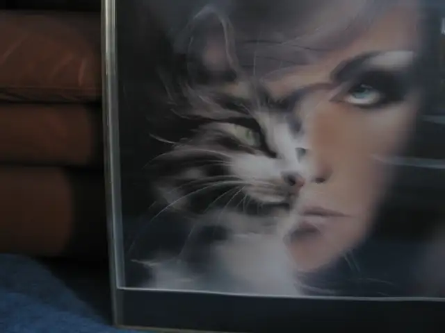 Girl Cat Bird Framed Airbrush Poster62854392441345124