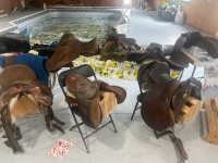 Saddles and horse tack for sale