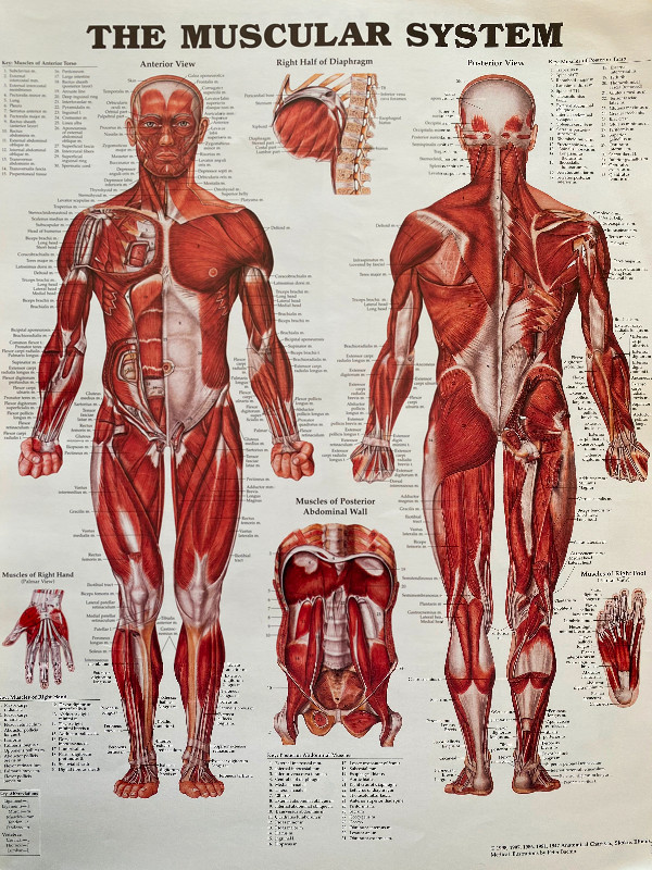 deep tissue massage near me