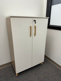 Slick white Office Storage Cabinet - With Lockable Wooden Doors