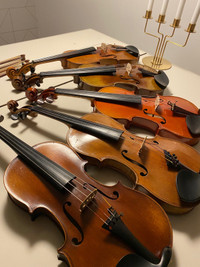 Divers violons 4/4 Full size violins ( violon - violin )