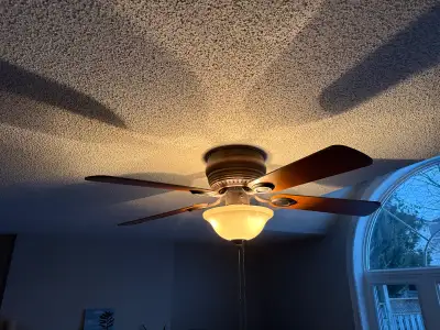 ceiling fan with light, View more