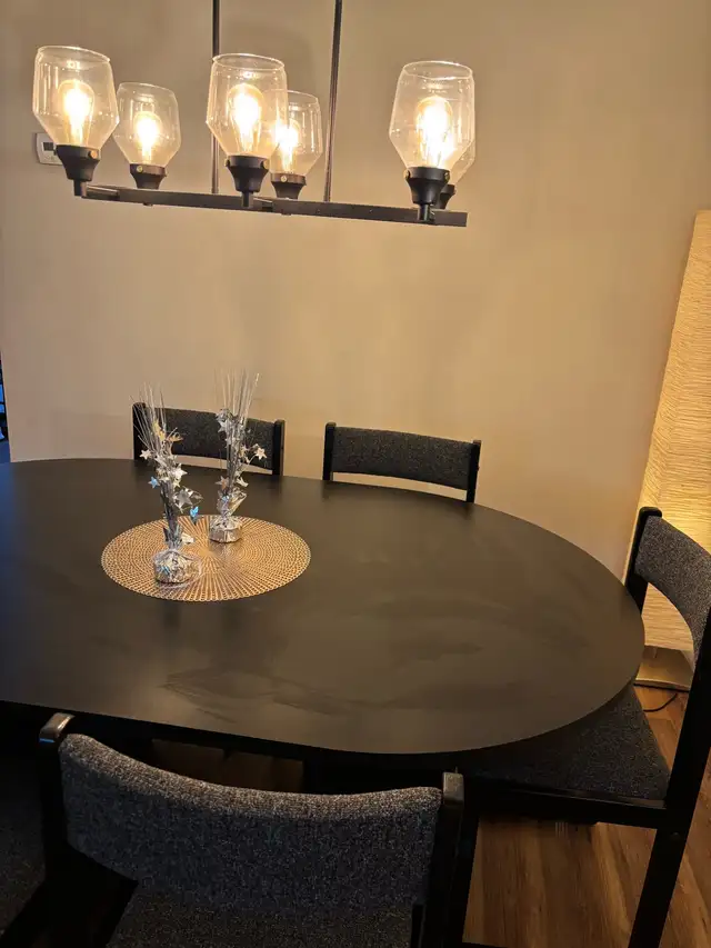 pendant lights in Indoor Lighting & Fans in Ottawa - Image 4