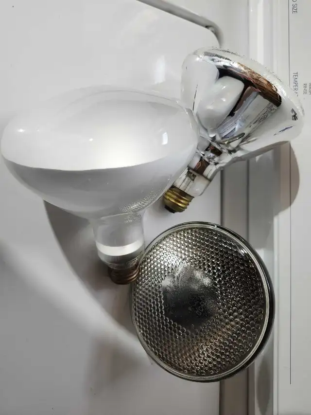 Light Bulbs in Indoor Lighting & Fans in Laval / North Shore - Image 2