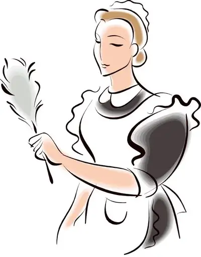 Experienced European cleaning ladies available for weekly bi-weekly monthly or occasional arrangemen...