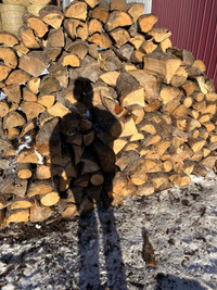 Spruce fire wood 