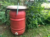 Rain Barrel