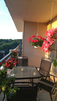 Fully furnished apartment close to Downtown, Mont Royal park 