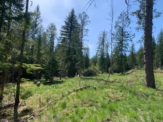 10 Acres Build-Ready Land in Land for Sale in Nelson - Image 8