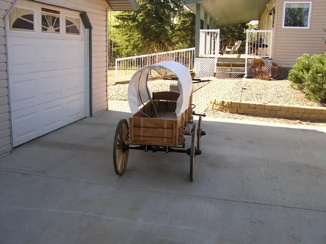 mini chuckwagon in Livestock in Edmonton - Image 3