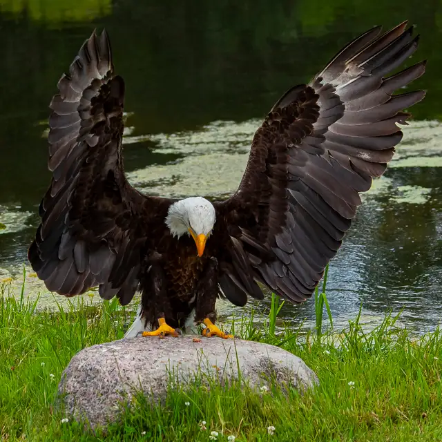 LIVE Interactive Photography Courses (Online)64551245031298122