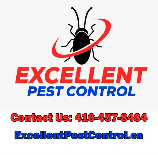 MICE/RAT COCKROACH BED BUG CENTIPEDE ALL PESTS@416-457-8484 in Other in Markham / York Region