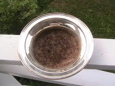 Taunton silverplate tray, View more