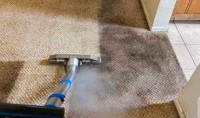 SOLID EXPERTISE: TRUCKMOUNTED CARPET CLEANING SERVICES