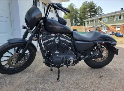 Iron 883 all blacked out , Vance and Hans exhaust and air filter. Fluids changed every spring . New...