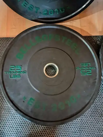 Rubber Bumper Plates 4x25lbs, View more