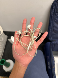 EarPods that came with iPhone X