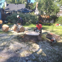 Offre d'emploi: Manoeuvre en Arboriculture à Québec 