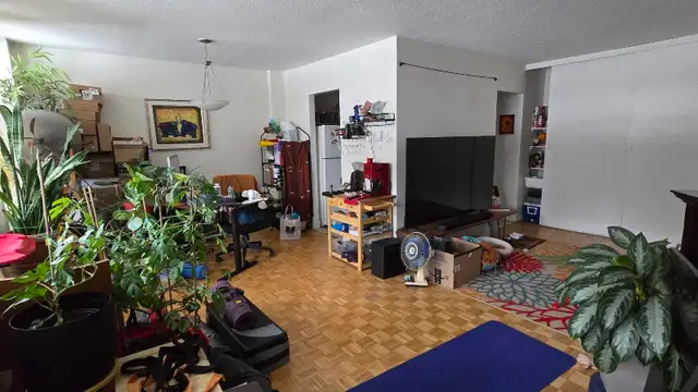 3 1/2 à louer Iles-des-Soeurs pour Juin ou Juillet in Long Term Rentals in City of Montréal - Image 2