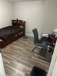 Looking for 3 roommates shared accommodation $375