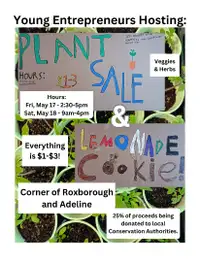 Plant Sale and Lemonade Stand!