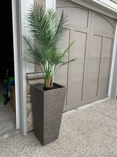 2 Large Outdoor Planters - Palms Sold Separately, View more