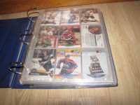 Collector Hockey Cards & Pog's (old)