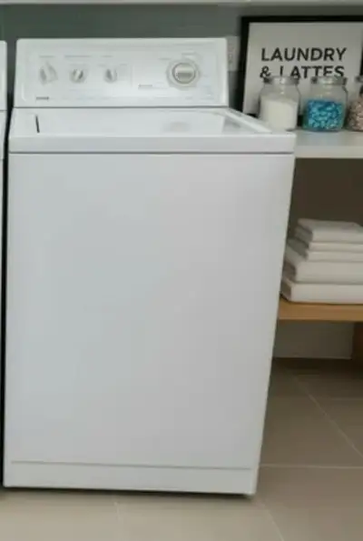 laveuse fonctionne bien 195$ possibilité de livraison , View more