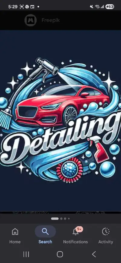 Mobile Car Detailing ! I Come To You !, View more