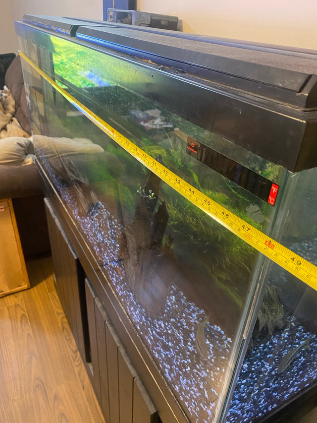 40 Gallon Fish Tank  in Other in Calgary - Image 3
