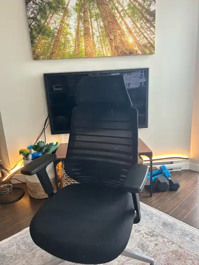 https://www.branchfurniture.ca/collections/work-from-home/products/ergonomic-chair Originally 449$ +...