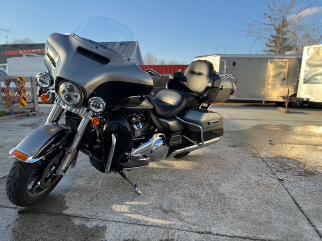 Harley Davidson screaming Eagle  in Touring in Windsor Region - Image 4