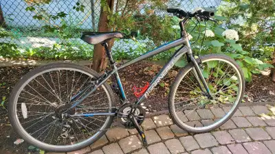 vélo hybride Louis Garneau Espace Aluminium Small Medium , View more