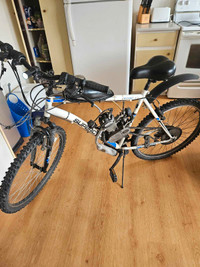 Vélo Moteur SkyHawk