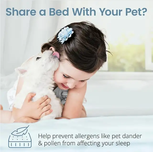 NEW SafeRest Queen Cotton Waterproof Mattress Cover Encasement in Bedding in London - Image 9