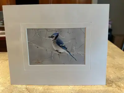 Brand New 8x10" Sealed Bluejay Print Matted Ready to Frame, View more