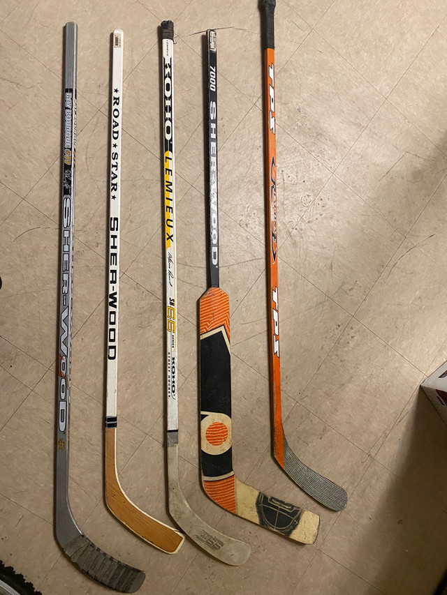 Hockey Sticks in Hockey in Edmonton