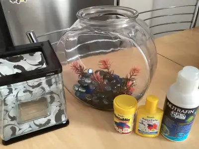 fish bowls, food and water treatment, View more