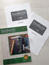 Vocabu-lit Book G Building Vocabulary through Literature