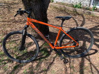 Norco XFR 1