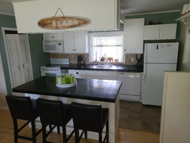 BlueHaven Cottage GRAND BEND Christmas/New Years Rentals! in Short Term Rentals in Leamington - Image 4