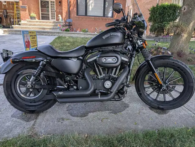 2014 Harley Davidson Sportster 883 in Street, Cruisers & Choppers in Mississauga / Peel Region - Image 3